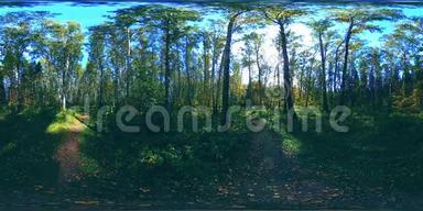 超高清4K360VR虚拟现实的一个城市公园游乐区.. 秋天或夏天的树木和绿草